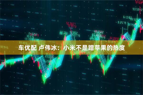 车优配 卢伟冰：小米不是蹭苹果的热度