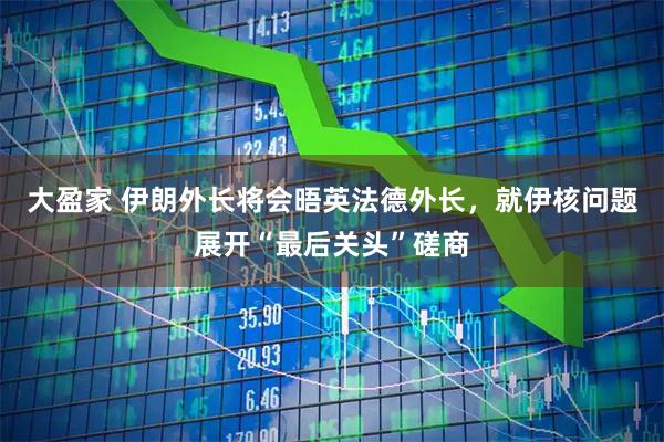 大盈家 伊朗外长将会晤英法德外长，就伊核问题展开“最后关头”磋商
