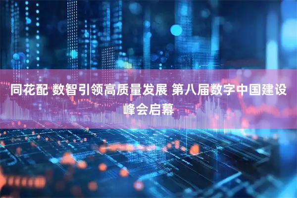 同花配 数智引领高质量发展 第八届数字中国建设峰会启幕
