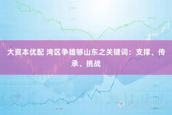 大资本优配 湾区争雄够山东之关键词：支撑、传承、挑战