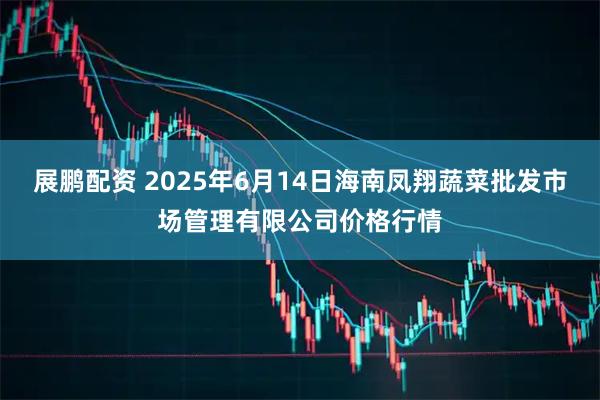 展鹏配资 2025年6月14日海南凤翔蔬菜批发市场管理有限公司价格行情