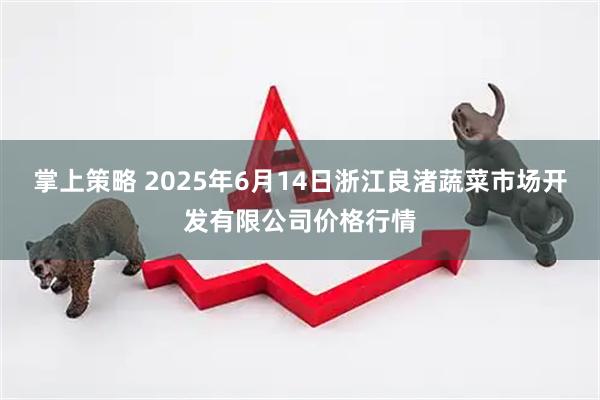 掌上策略 2025年6月14日浙江良渚蔬菜市场开发有限公司价格行情